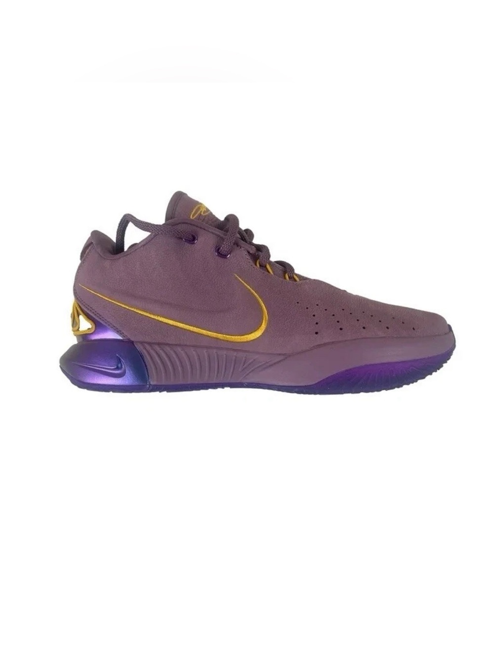 Nike LeBron XXl Freshwater
Purple Rain Shoes